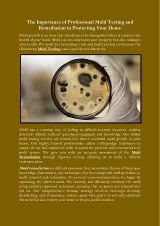 The Importance of Professional Mold Testing and Remediation in Protecting Your Home