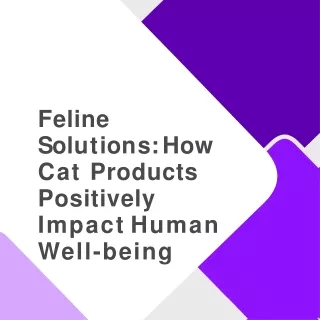 feline-solutions-how-cat-products-positively-impact-human-well-being