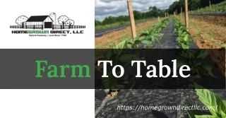 Go Farm to Table with HomeGrown Direct LLC: Nourishing Food, Sustainable Practic