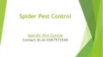 spider pest control - slide 1