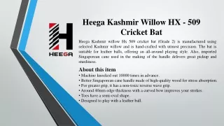 Heega Kashmir Willow HX - 509 Cricket Bat