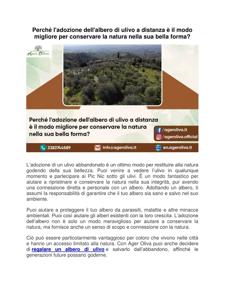 perch l adozione dell albero di ulivo a distanza