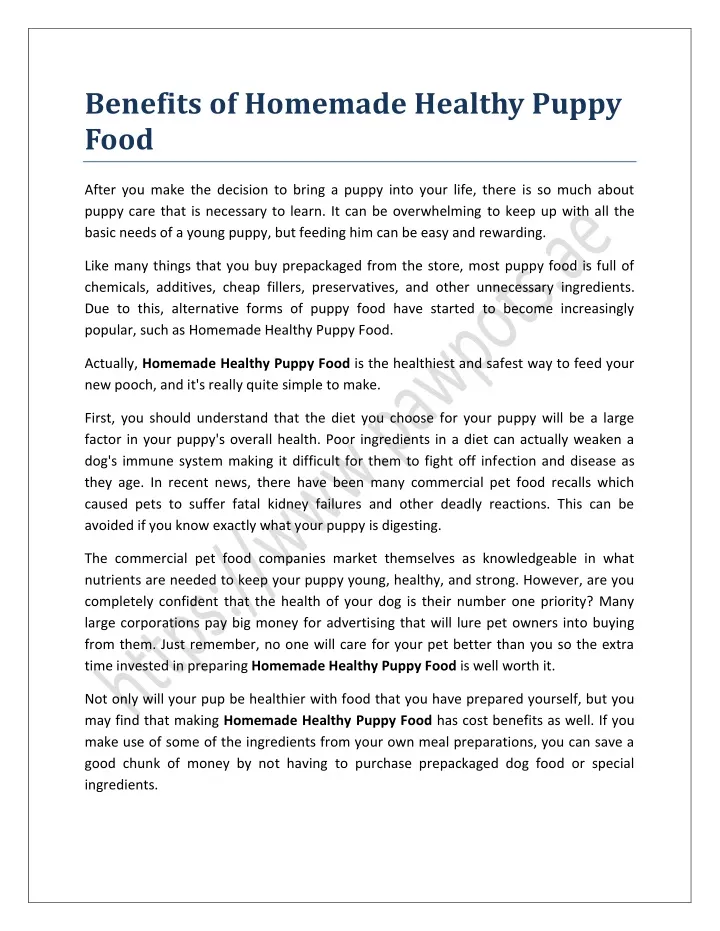 benefits of homemade healthy puppy food