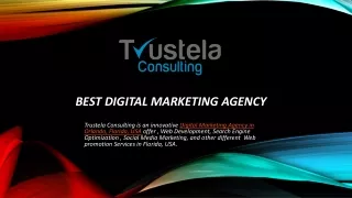 Best Digital Marketing Agency in Orlando, Florida, USA- Trustela Consulting