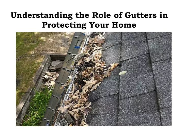 understanding the role of gutters in protecting your home