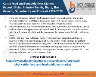 cattle feed and feed additives market report