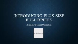 Introducing Plus Size Full Briefs