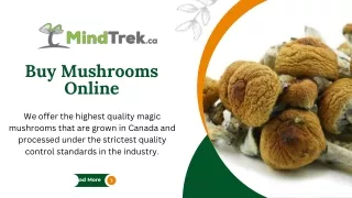 buy mushrooms online - Mindtrek