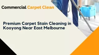 Premium Carpet Stain Cleaning in Kooyong Near East Melbourne