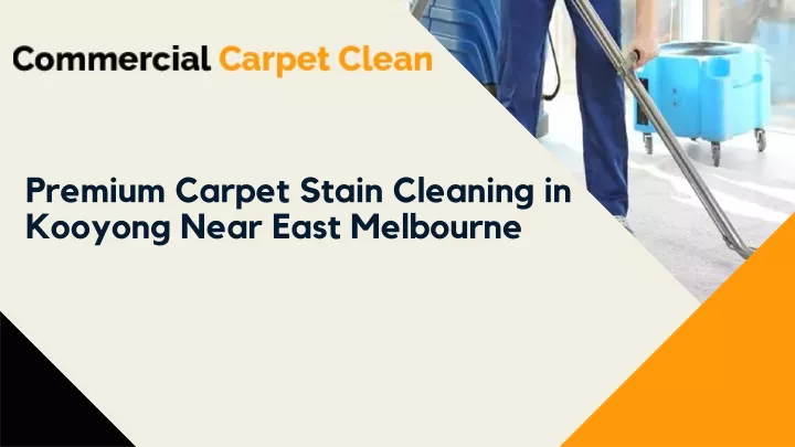 premium carpet stain cleaning in kooyong near