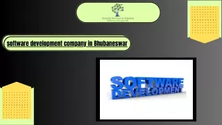 software development company in Bhubaneswar (1)