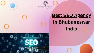 Best SEO Agency in Bhubaneswar India (1)
