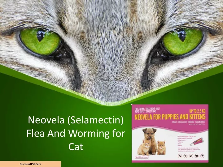 neovela selamectin flea and worming for cat