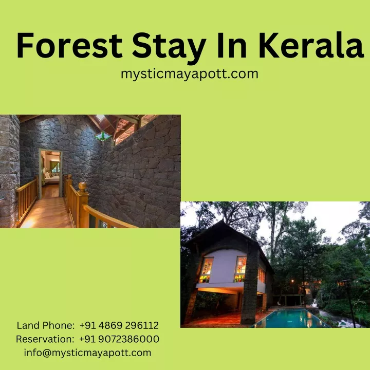forest stay in kerala mysticmayapott com