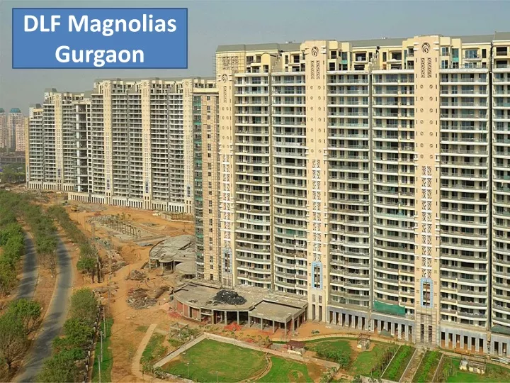 dlf magnolias gurgaon