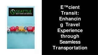 Seamless Transportation for Travelers