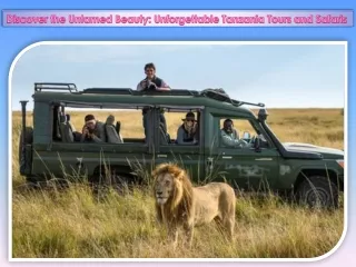 Discover the Untamed Beauty Unforgettable Tanzania Tours and Safaris