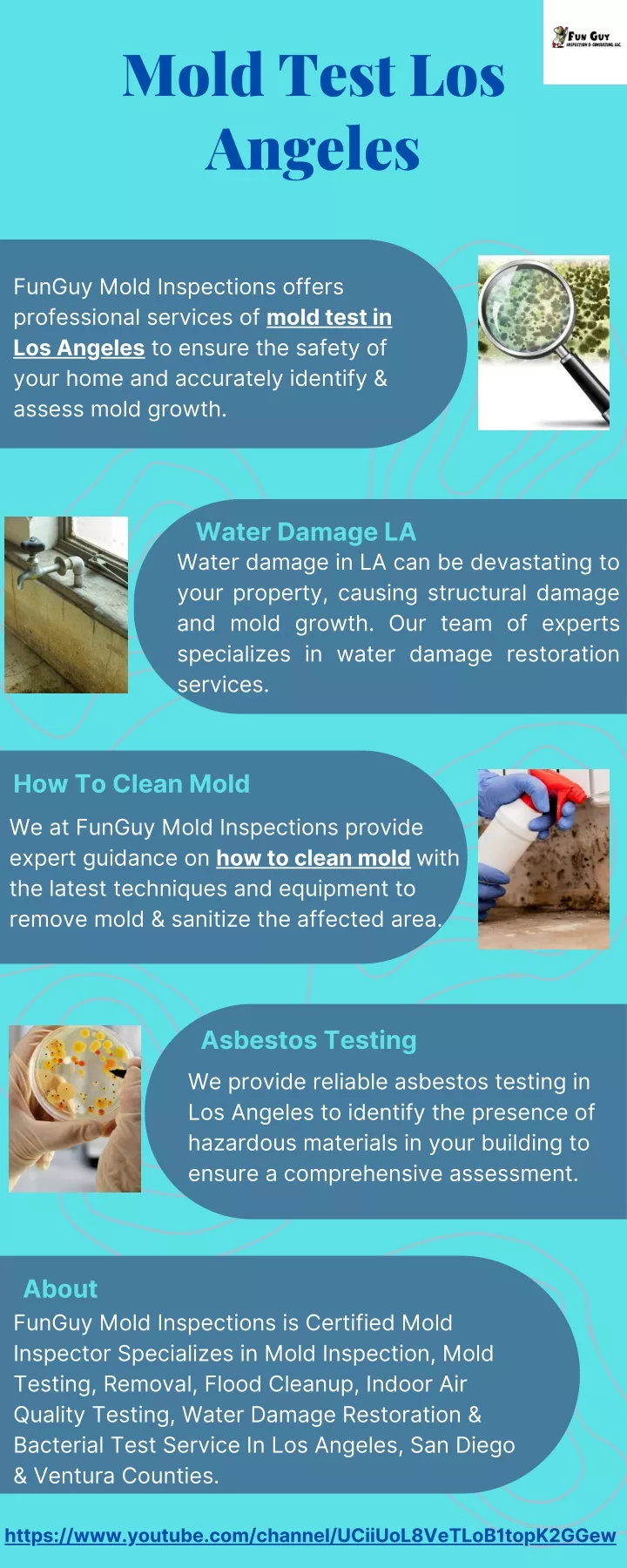 mold test los angeles