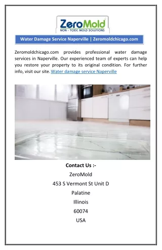 water damage service naperville zeromoldchicago