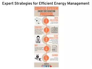 Expert Strategies for Efficient Energy Management