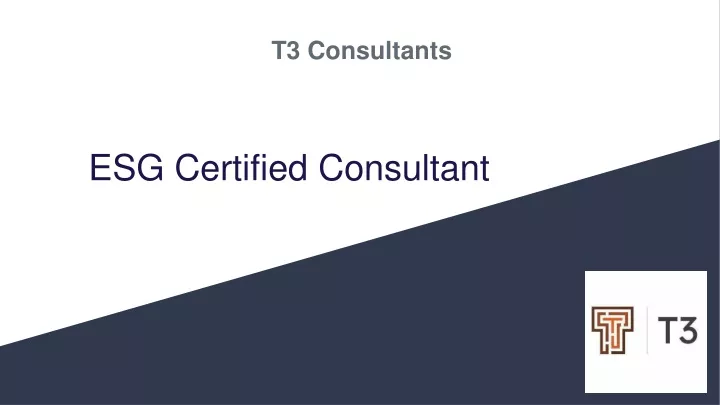 t3 consultants