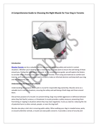 Premium Collars, Harnesses & Leads for Active Pets | Neopaws