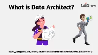what is data architect