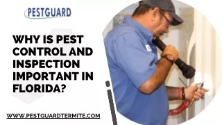 Why Is Pest Control And Inspection Important In Florida?