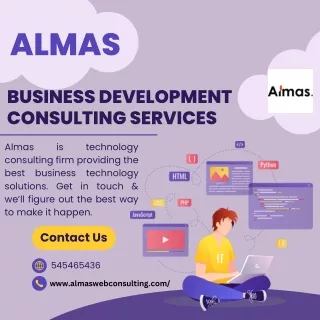Technology Advisory Consultant Services