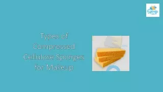 Compressed Cellulose Sponges for Makeup