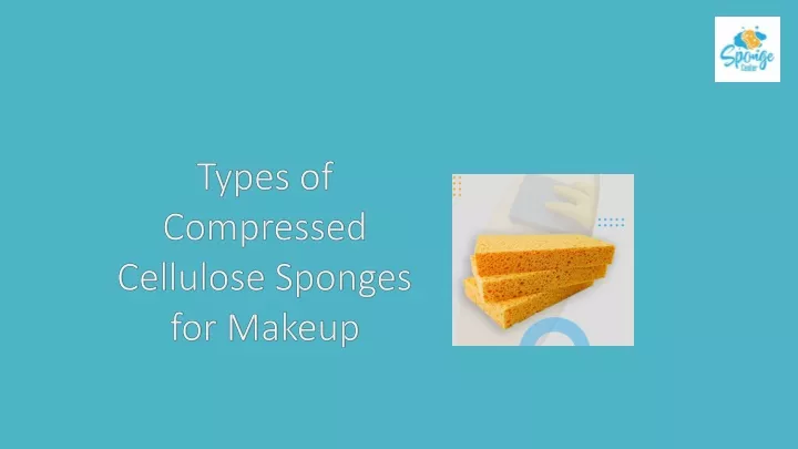 types of compressed cellulose sponges for makeup