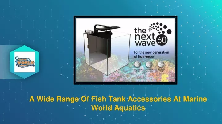 a wide range of fish tank accessories at marine