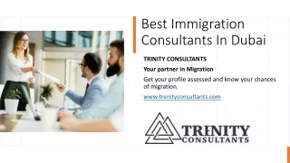 Best Immigration Consultants In Dubai_ pdf