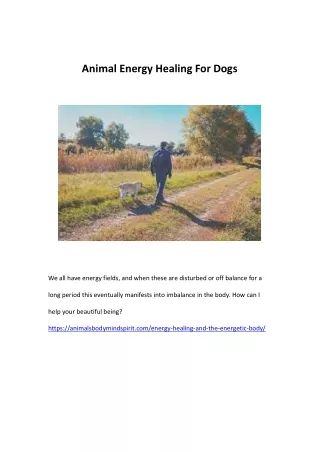 Animal Energy Healing For Dogs