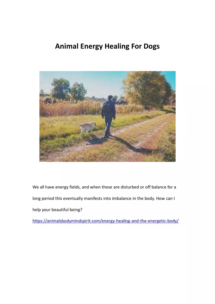 animal energy healing for dogs