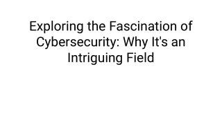 exploring the fascination of cybersecurity