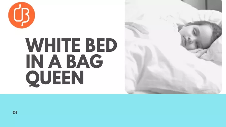 white bed in a bag queen