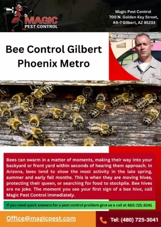 Bee Control Gilbert  Phoenix Metro_