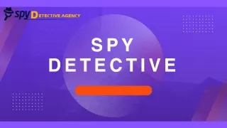 Trustworthy Investigation Services Provided by Spy Detective Agency in India