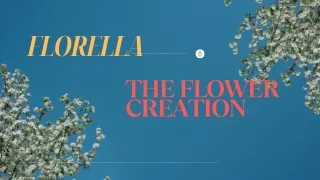 Florella : Best Florist & Premium Fresh Flower Delivery Shop In  Delhi