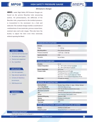 High Safety Pressure Gauge - Miniature Design | India Pressure Gauge