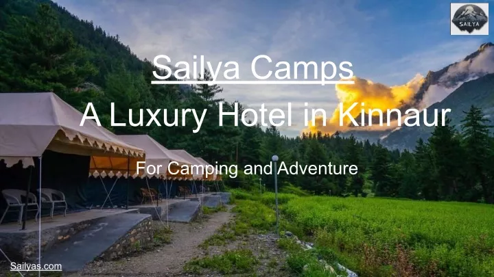 sailya camps