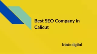 best seo company in calicut