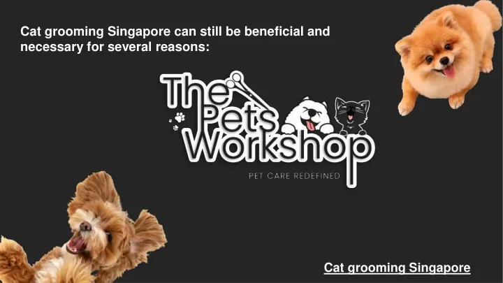 cat grooming singapore can still be beneficial