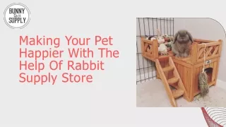 Making Your Pet Happier With The Help Of Rabbit Supply Store!!