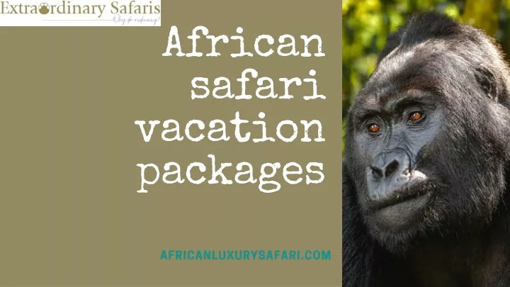 african safari vacation packages