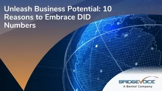 Unleash Business Potential 10 Reasons to Embrace DID Numbers