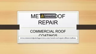 Commercial Painting Contractor Metal Roof Repair Elkhart Indiana