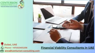 Financial Viability Consultants In UAE