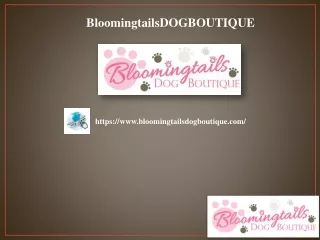 Toys for Small Dogs, bloomingtailsdogboutique